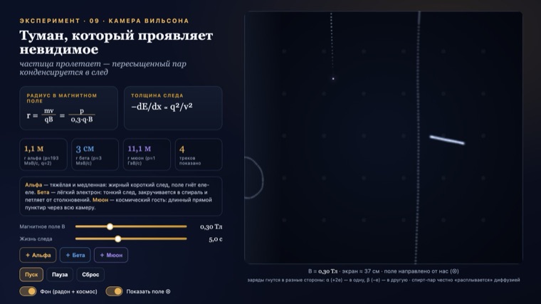 Камера Вильсона